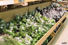 182398_7.jpg  : 92 KB