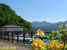 182399_1.jpg  : 53 KB