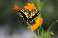 182404_3.jpg  : 93 KB