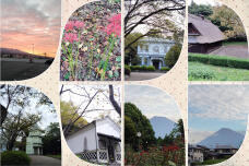 182444_1.jpg  : 327 KB