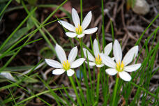 182445_1.jpg  : 139 KB