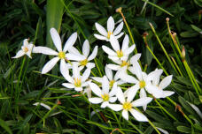 182445_2.jpg  : 172 KB