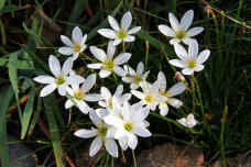 182445_3.jpg  : 170 KB