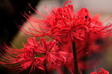 182449_1.jpg  : 253 KB