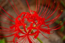 182450_1.jpg  : 84 KB