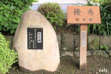 182460_10.jpg  : 92 KB