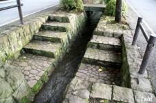 182460_5.jpg  : 89 KB