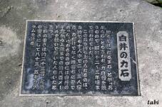 182460_6.jpg  : 121 KB