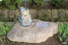 182460_7.jpg  : 121 KB