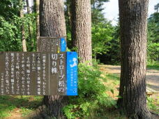 182461_3.jpg  : 107 KB