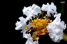 182474_10.jpg  : 50 KB