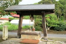 182474_2.jpg  : 102 KB