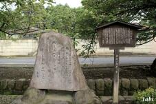 182474_3.jpg  : 114 KB