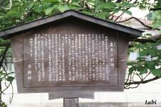 182474_5.jpg  : 90 KB