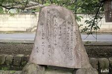 182474_6.jpg  : 110 KB