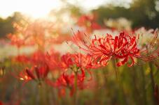 182476_2.jpg  : 69 KB