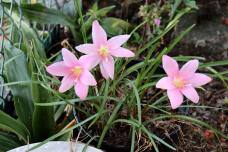 182478_1.jpg  : 152 KB