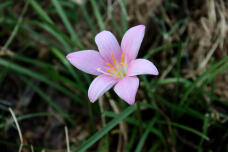 182478_2.jpg  : 85 KB