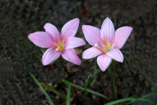 182478_3.jpg  : 94 KB