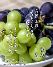 182484_1.jpg  : 193 KB