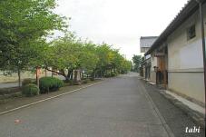 182488_1.jpg  : 79 KB