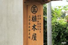 182488_6.jpg  : 67 KB