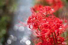 182492_1.jpg  : 74 KB