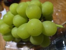 182507_1.jpg  : 59 KB