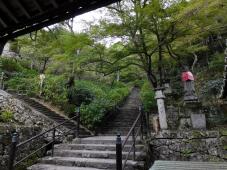 182520_2.jpg  : 290 KB