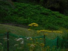 182550_1.jpg  : 198 KB