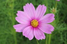 182564_1.jpg  : 26 KB