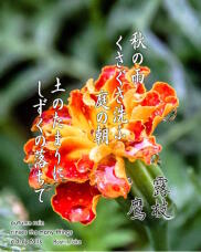 182583_1.jpg  : 234 KB