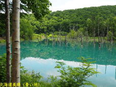 182601_1.jpg  : 88 KB