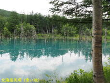 182601_2.jpg  : 82 KB