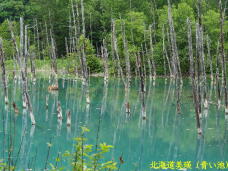 182601_3.jpg  : 91 KB