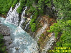 182615_1.jpg  : 112 KB