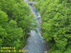 182615_3.jpg  : 111 KB