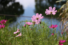 182619_1.jpg  : 126 KB