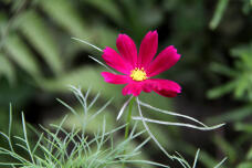 182619_2.jpg  : 103 KB