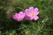 182619_3.jpg  : 84 KB