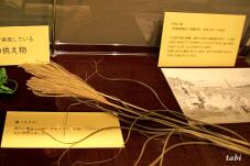 182637_2.jpg  : 75 KB