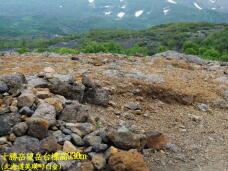 182639_1.jpg  : 92 KB