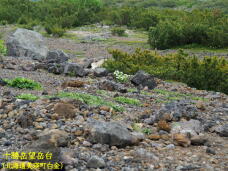 182639_2.jpg  : 92 KB