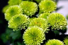 182641_3.jpg  : 103 KB