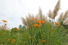 182643_1.jpg  : 270 KB