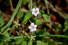 182645_1.jpg  : 97 KB