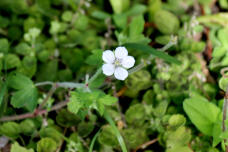 182645_2.jpg  : 101 KB