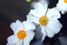 182725_2.jpg  : 62 KB