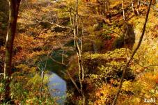 182734_10.jpg  : 118 KB
