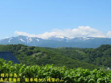 182737_3.jpg  : 54 KB